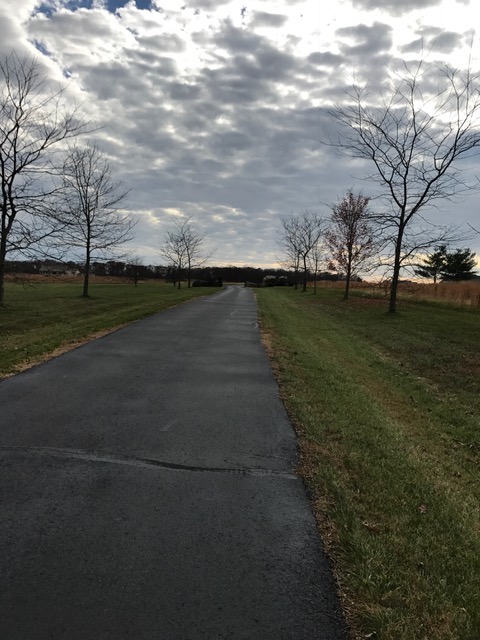 Day 28 I took this picture on my walk yesterday.  Walking out my door and looking down my long drive,  it looked like a LONG WAY to go...  b